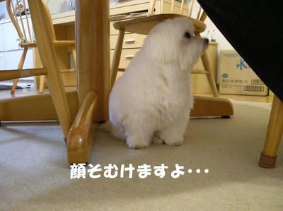 DSCN4112.JPG