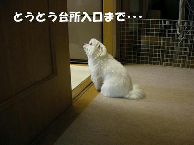 DSCN4211.JPG