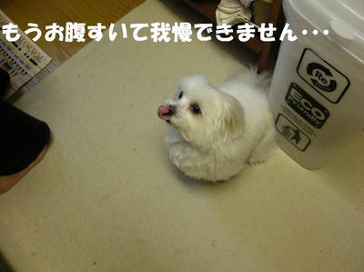 DSCN4219.JPG