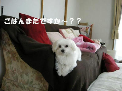 DSCN4276.JPG