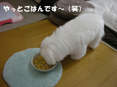DSCN4286.JPG