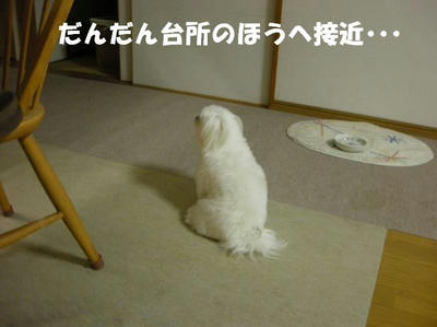 DSCN4300.JPG