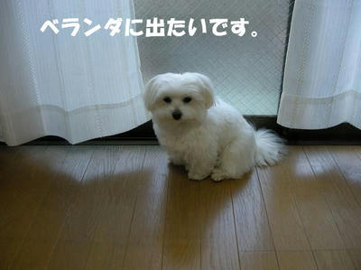 DSCN4235.JPG