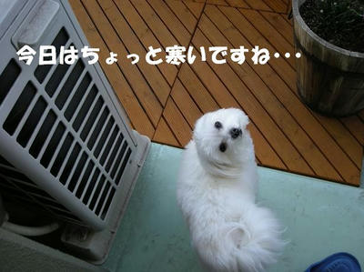 DSCN4238.JPG