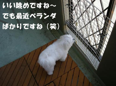 DSCN4239.JPG