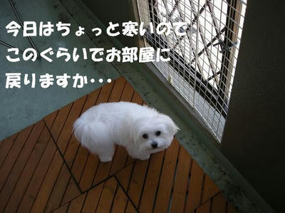 DSCN4241.JPG