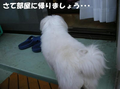 DSCN4244.JPG