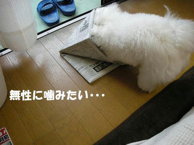 DSCN4401.JPG