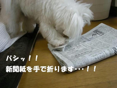 DSCN4408.JPG