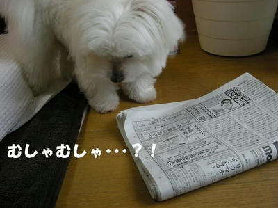DSCN4409.JPG