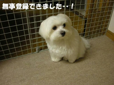 DSCN4387.JPG
