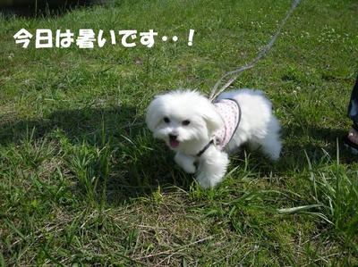 DSCN4487.JPG