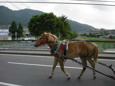 DSCN4490.JPG