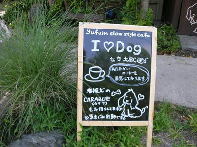 DSCN4565.JPG