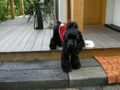 DSCN4568.JPG