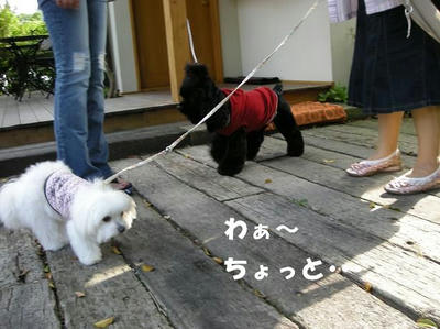 DSCN4573.JPG