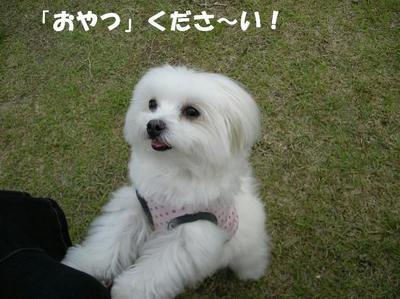 DSCN4587.JPG