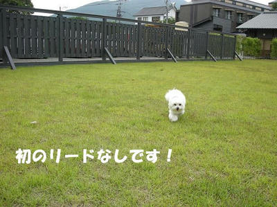 DSCN4594.JPG