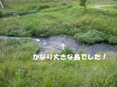 DSCN4494.JPG