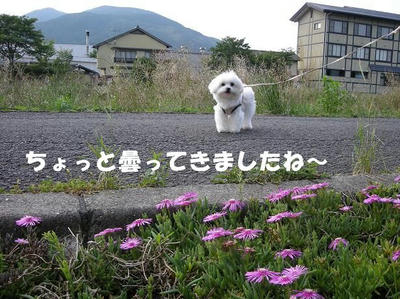 DSCN4500.JPG