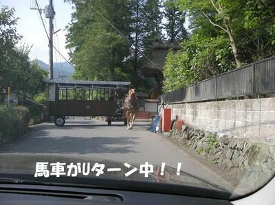 DSCN4525.JPG