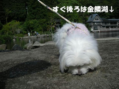 DSCN4550.JPG