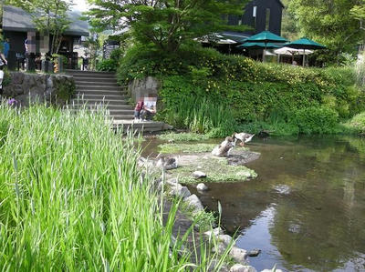 DSCN4546.JPG