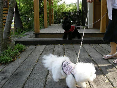 DSCN4569.JPG