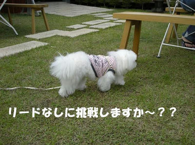 DSCN4583.JPG