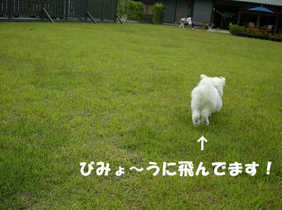 DSCN4595.JPG