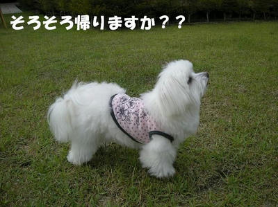DSCN4598.JPG