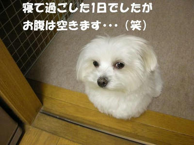 DSCN4620.JPG