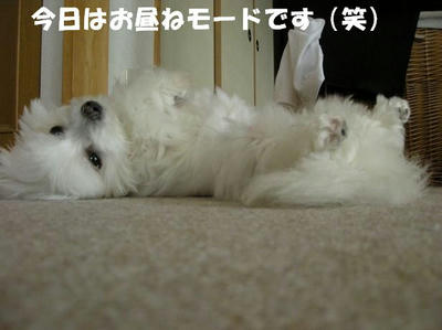 DSCN4631.JPG