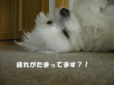 DSCN4634.JPG
