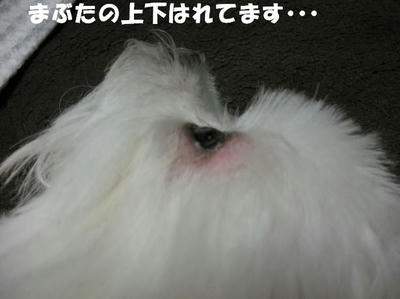 DSCN4457.JPG
