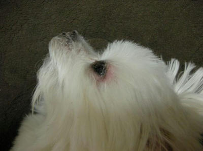 DSCN4459.JPG