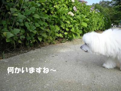 DSCN4722.JPG