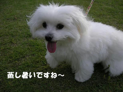 DSCN4741.JPG