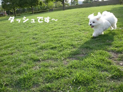 DSCN4747.JPG