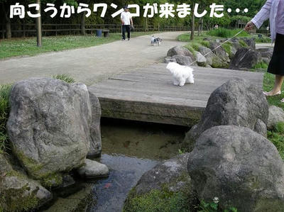 DSCN4753.JPG