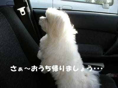 DSCN4775.JPG