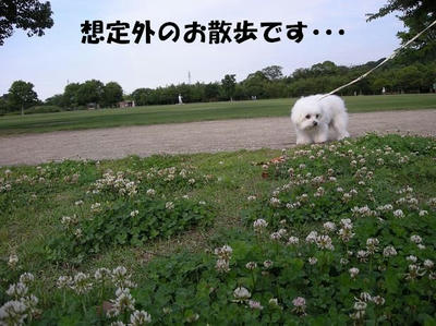DSCN4735.JPG