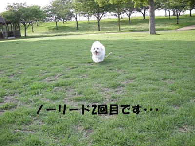 DSCN4749.JPG