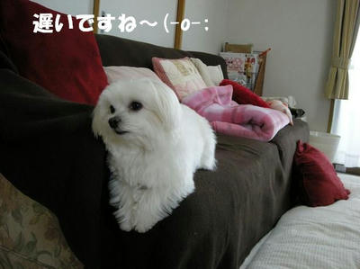 DSCN4284.JPG