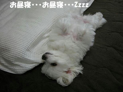 DSCN4441.JPG