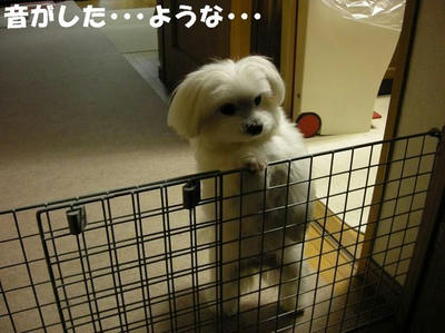DSCN4651.JPG