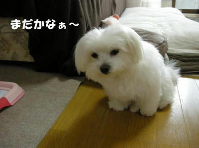 DSCN4686.JPG