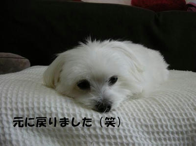DSCN4797.JPG