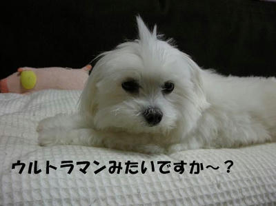 DSCN4843.JPG