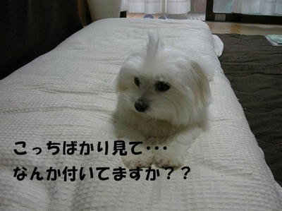 DSCN4844.JPG
